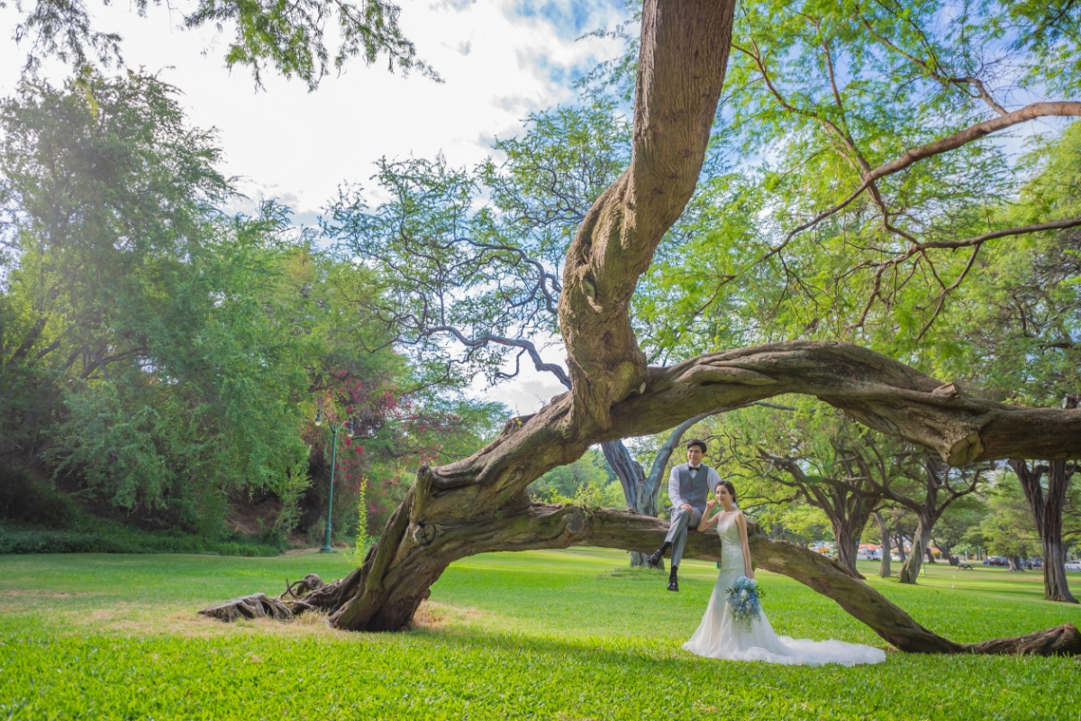 カピオラニ公園フォトイメージ