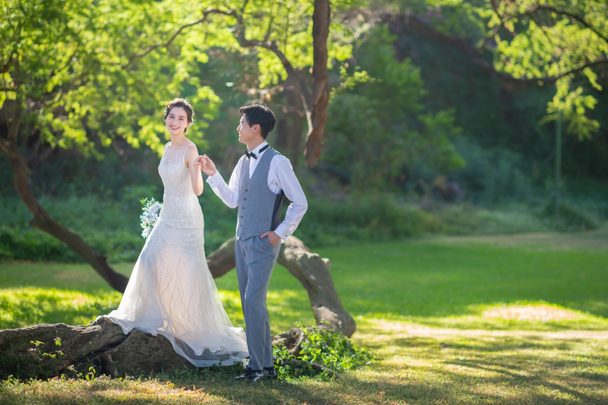 カピオラニ公園フォトイメージ
